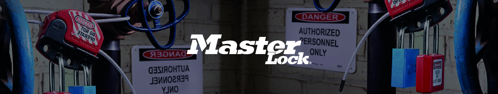 MASTER LOOK
